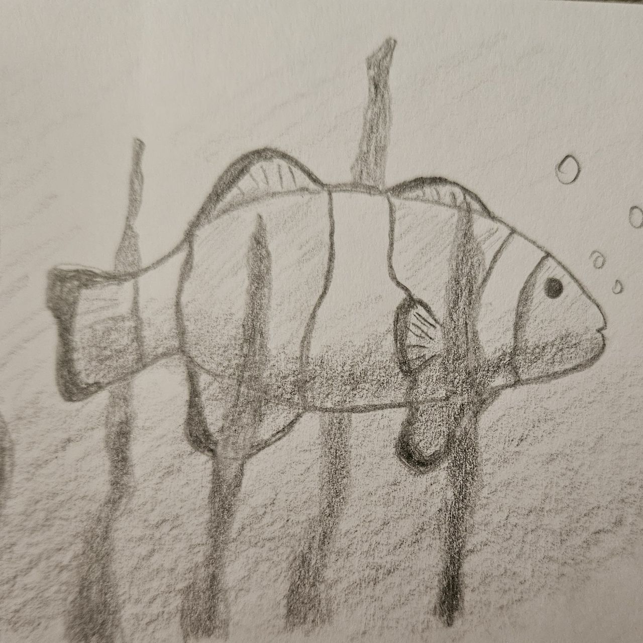 Un poisson